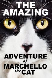The Amazing Adventure of Marchello the Cat